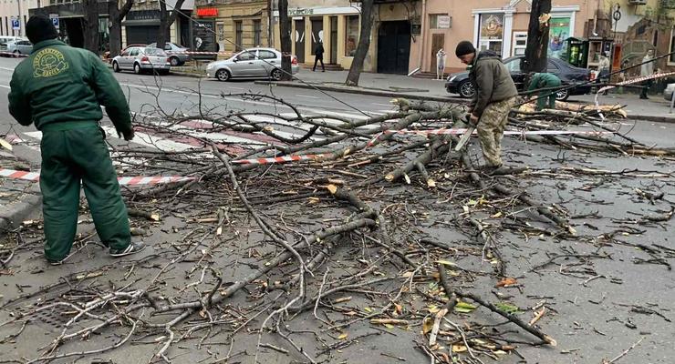 В Одессе ураган повалил деревья и оборвал линии электропередач