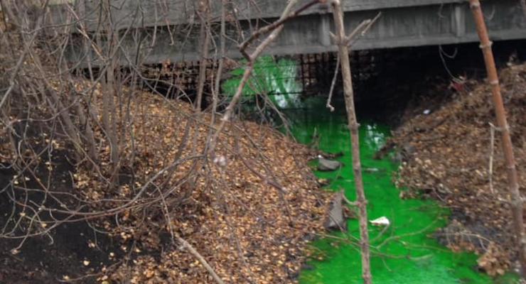 В Киеве позеленела река Дарница