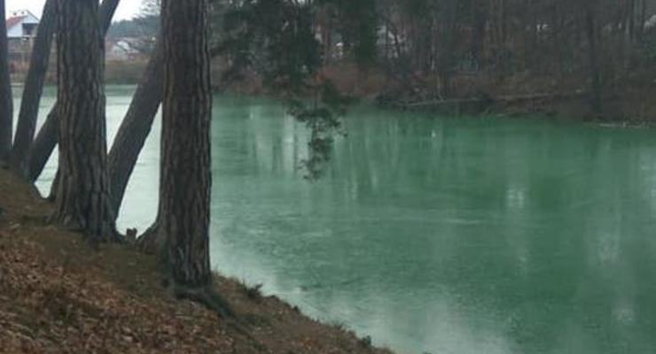 Под Киевом позеленело озеро