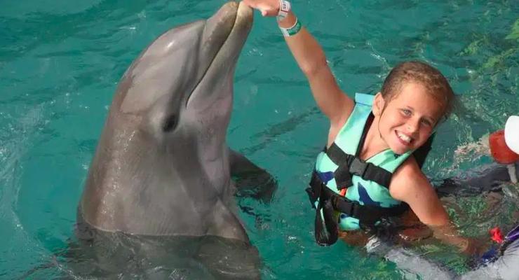 Дельфины искусали и попытались утопить девочку в бассейне