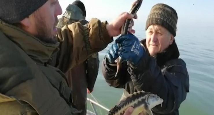 На Азове поймали браконьеров с рыбой на более чем 1 млн грн
