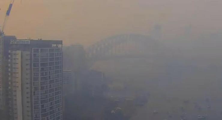 Сидней затянуло дымом от лесных пожаров