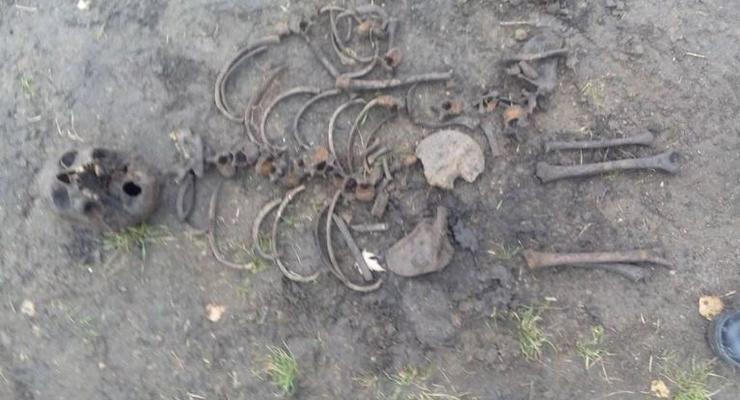 Школа на кладбище: В Борисполе нашли два человеческих скелета