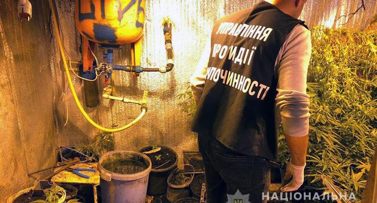 В Хмельницком у "закладчиков" изъяли крупную партию наркотиков