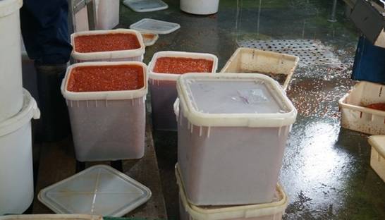 В Казахстане изъяли более двух тонн красной икры