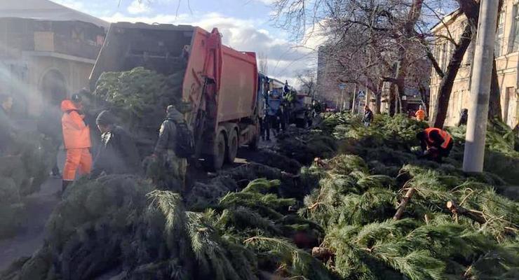 В Одессе торговцы бросили на улицах тысячи непроданных елок