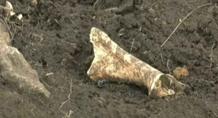 Вооруженные "черные археологи" разграбили древний скифский курган
