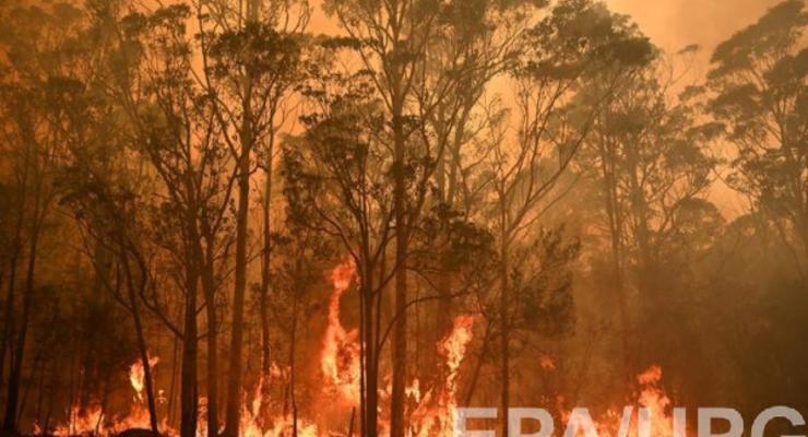 Пожары в Австралии: жителям столицы рекомендуют не выходить из дома