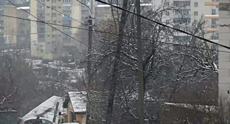 По улицам Киева гулял лось… снова