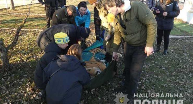 В Киеве тигров держали в ненадлежащих условиях: Их отдали специалистам