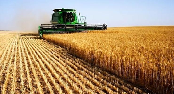 Украина вошла в ТОП-3 экспортеров агропродукции в ЕС