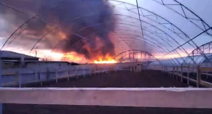 Масштабный пожар под Одессой: Пылал Нацпарк