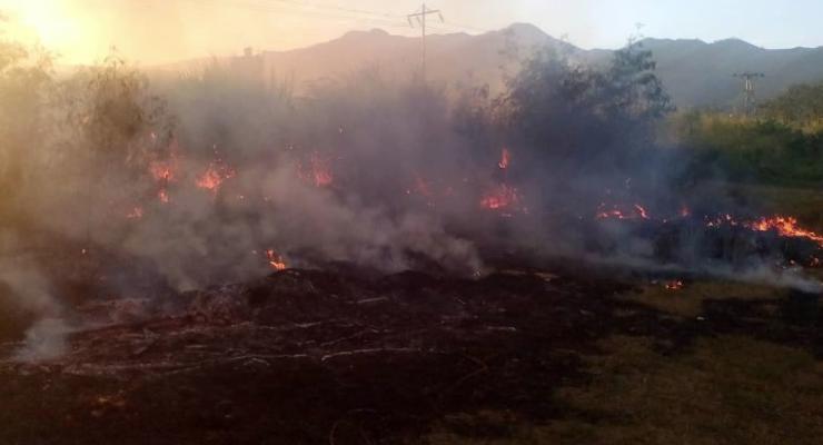 В Венесуэле более 10 человек погибли при пожаре на плантации