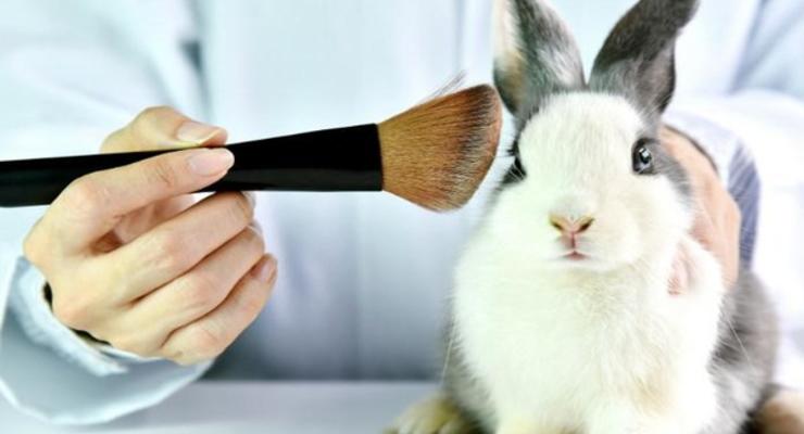 Минздрав запретит тестировать косметику на животных