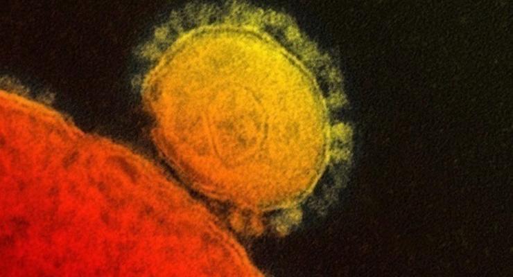 В Малайзии подтвердили три случая заражения новым коронавирусом