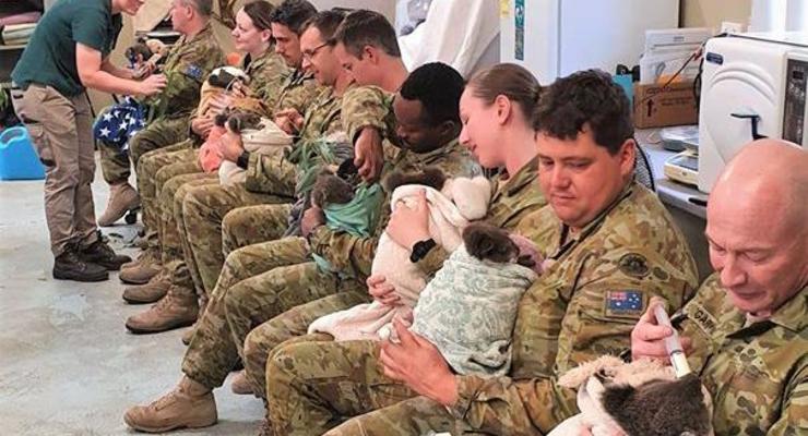 В Австралии военные в свободное время приходят кормить спасенных коал