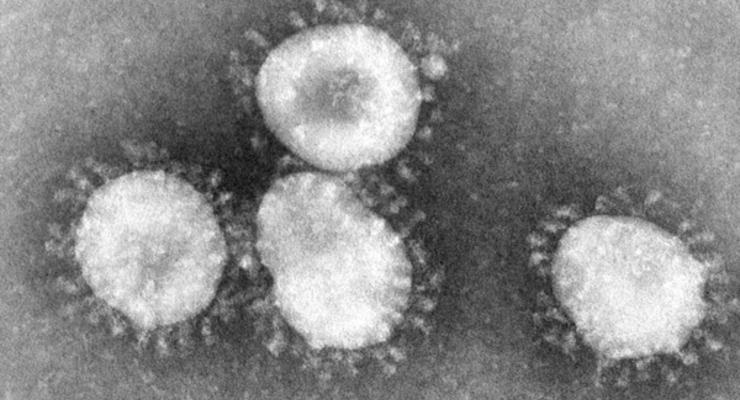 Медики назвали основные симптомы коронавируса