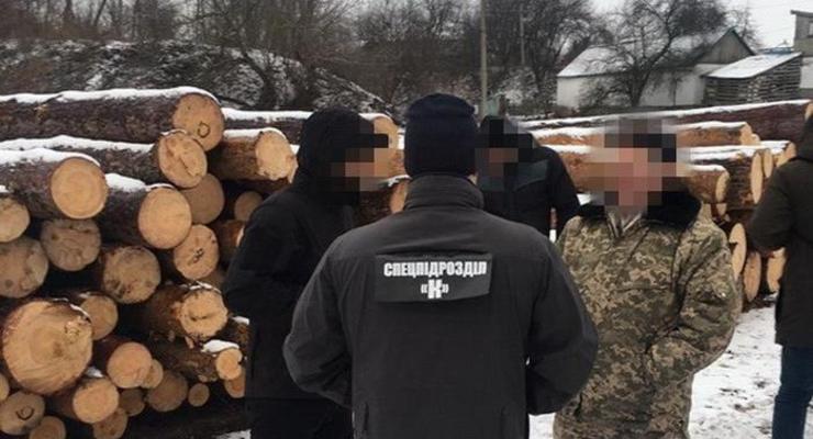 В Житомирской области чиновники украли почти две тысячи кубов леса