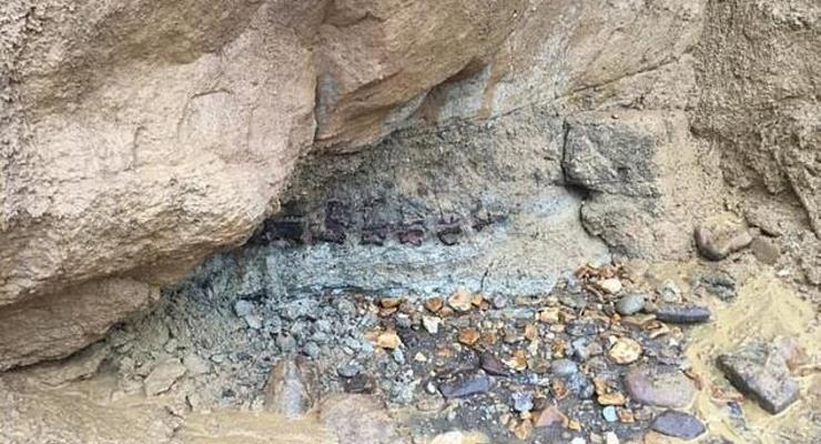 Женщина нашла хвост динозавра во время прогулки