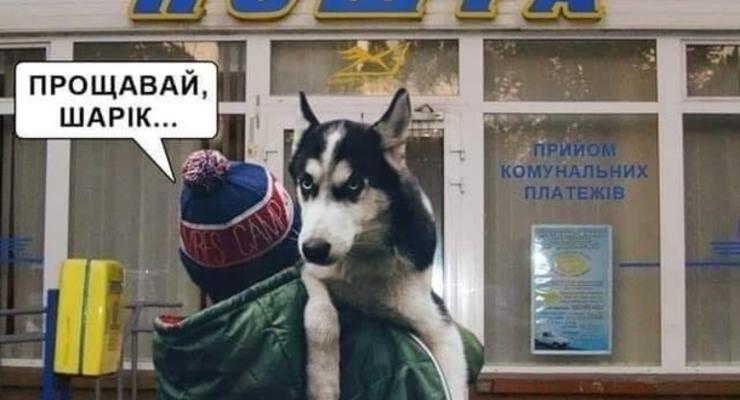 Итоги 2 февраля:Скандал с собакой и конфликт на Донбассе