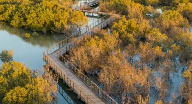 В Абу-Даби открыли мангровый парк
