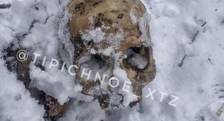 На остановке троллейбуса в Харькове нашли скелет