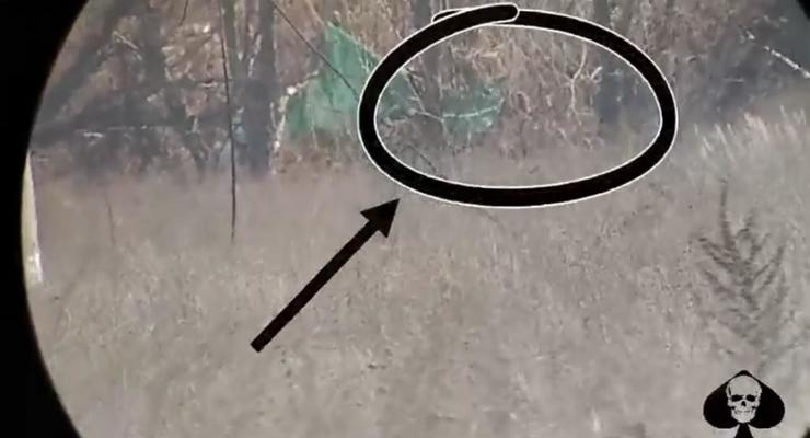 Очередной “груз 200”: появилось видео уничтожения боевика снайпером ВСУ