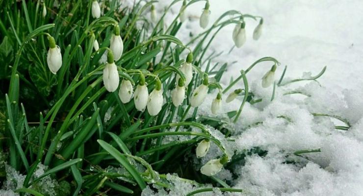 Погода в Украине на 15 февраля: Тепло, местами мокрый снег