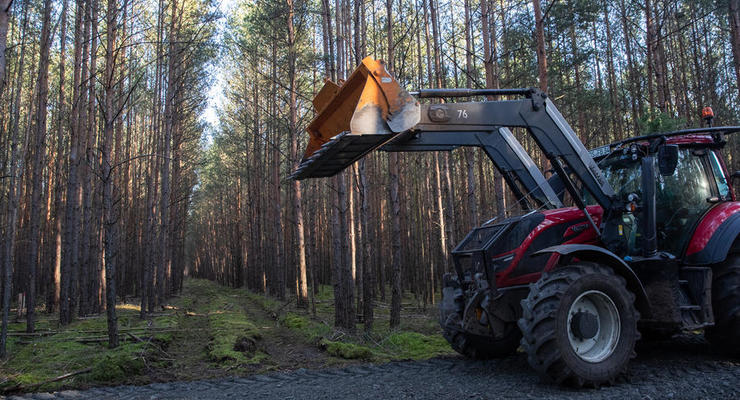 Суд в Германии приостановил вырубку леса на участке для завода Tesla