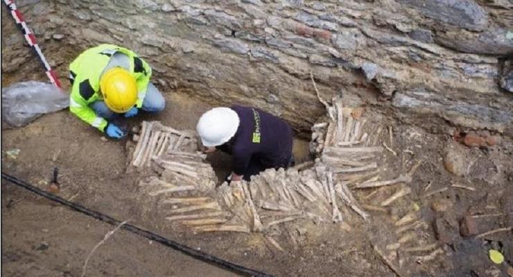 В Бельгии обнаружили стены из человеческих черепов и костей