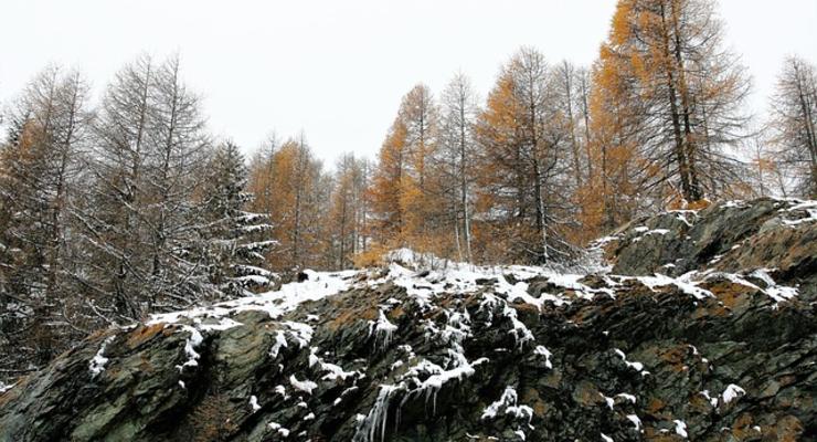 Погода в Украине на 21 февраля: Тепло, на Востоке и Западе возможны осадки