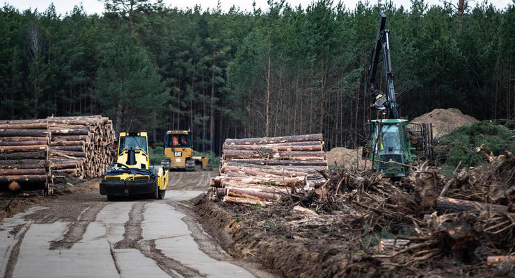 В Германии разрешили вырубку леса на участке для завода Tesla