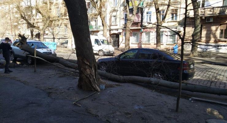В Одессе бушует циклон Юля: с домов сносит крыши, на дороги падают деревья
