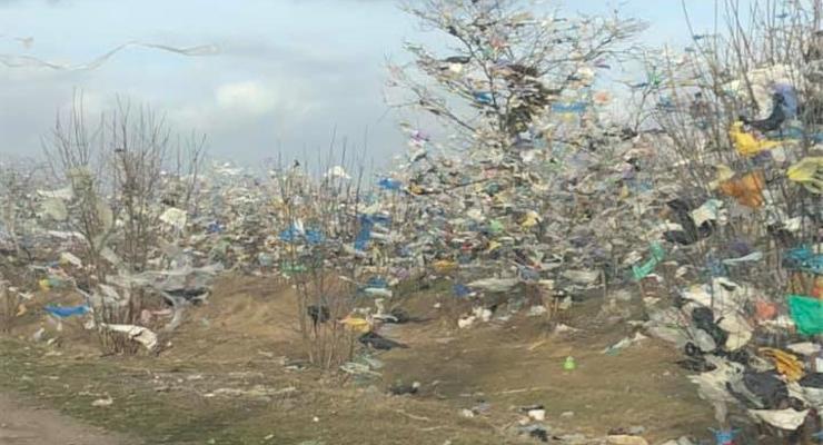 На Николаевщине тонны мусора оказались на деревьях