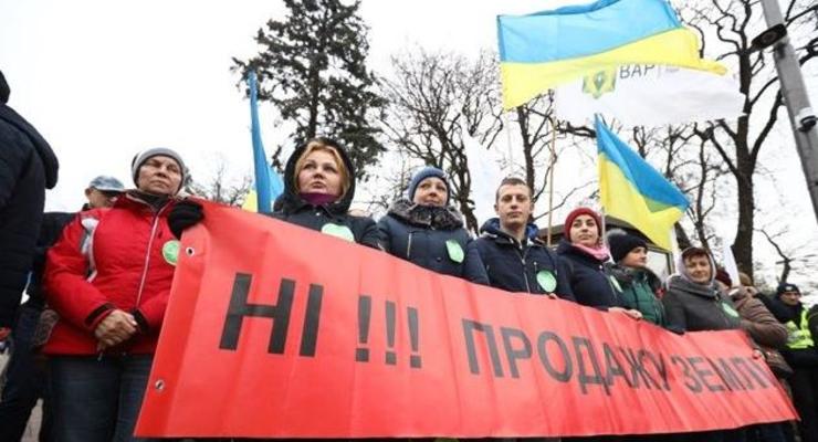Большинство украинцев выступили бы против рынка земли на референдуме - опрос