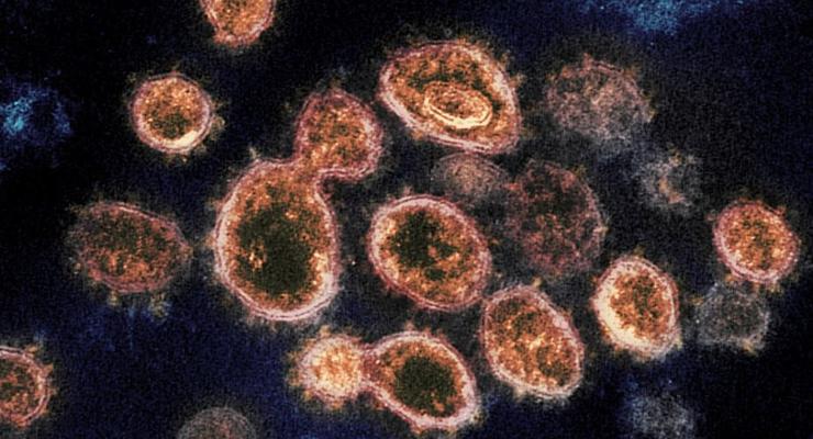 Вирус SARS-CoV-2 сохраняется в воздухе не меньше 3 часов - исследование