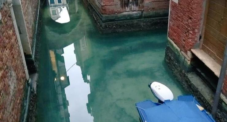 Карантин в Венеции: в каналы впервые за 60 лет вернулись дельфины