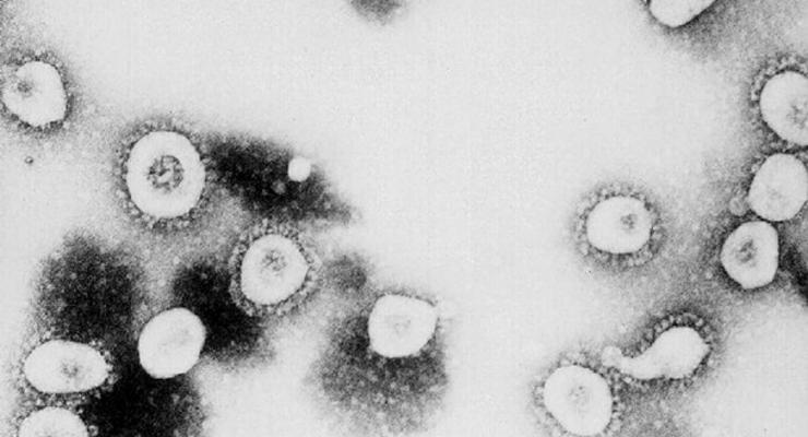 Вакцина от COVID-19: заразиться согласились 20 тысяч волонтеров