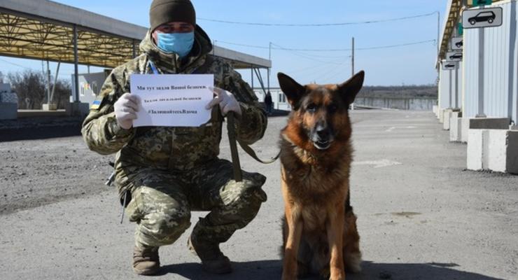 Военные закрывают Донецкую и Луганскую области на карантин