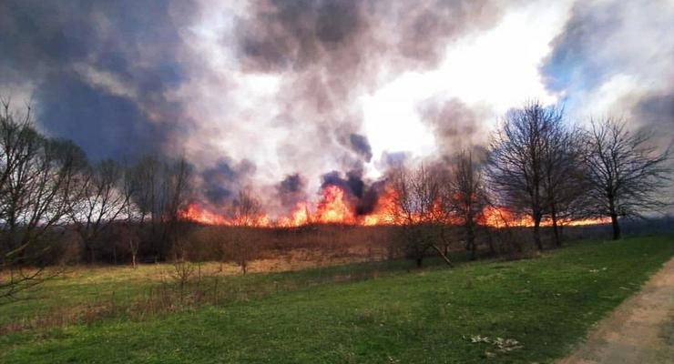 На Полтавщине 120 спасателей потушили масштабный пожар