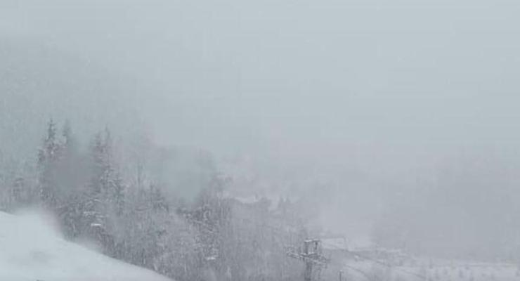 Украинские Карпаты засыпало снегом: появились впечатляющие кадры