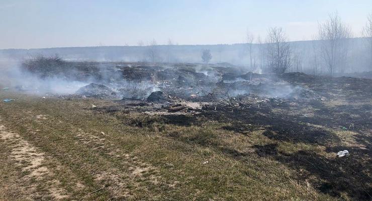 В Житомирской области зафиксировали почти 50 пожаров
