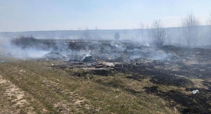 Лесные пожары добрались до Житомирской области: огонь уничтожил 8 домов