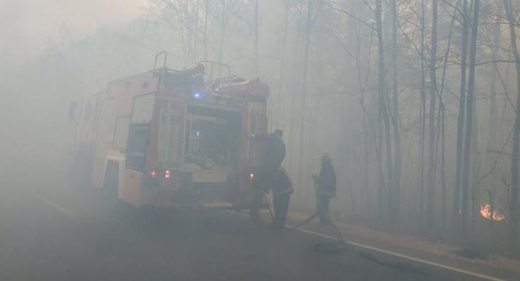 Пожар на Житомирщине тушат больше 300 человек, задействуют самолеты