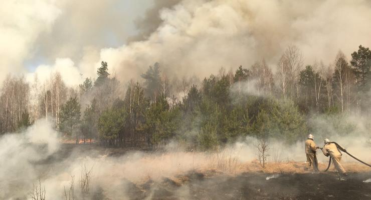 Под Киевом и в области зафиксировано почти 40 пожаров в сутки - КГГА