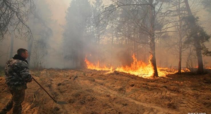 Следствие проверяет связь между поджогами лесов в разных областях