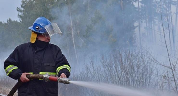 Назвали вероятную причину пожаров в Житомирской области