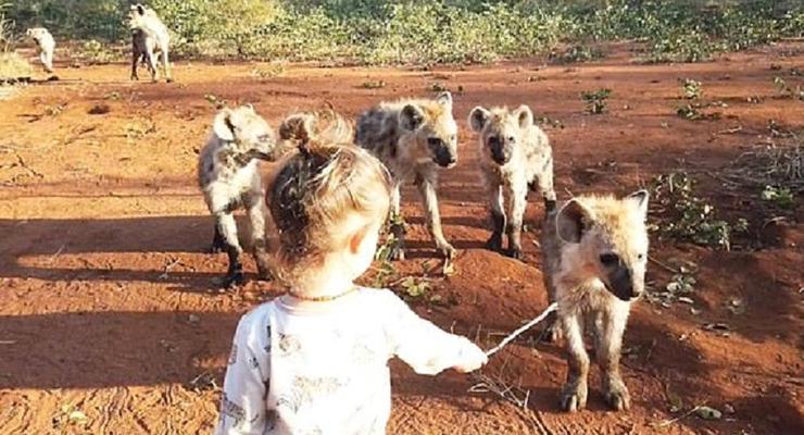 Двухлетняя девочка подружилась с гиенами