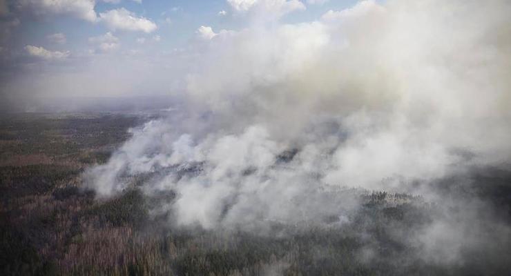 В зоне ЧАЭС идет ликвидация пожаров, на Житомирщине огонь локализован