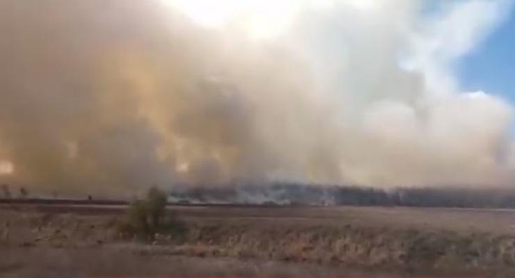 В 50 км от Киева начался новый масштабный лесной пожар